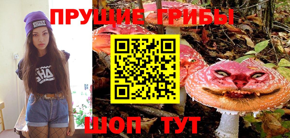 Псилоцибиновые грибы Psilocybine cubensis Ливны