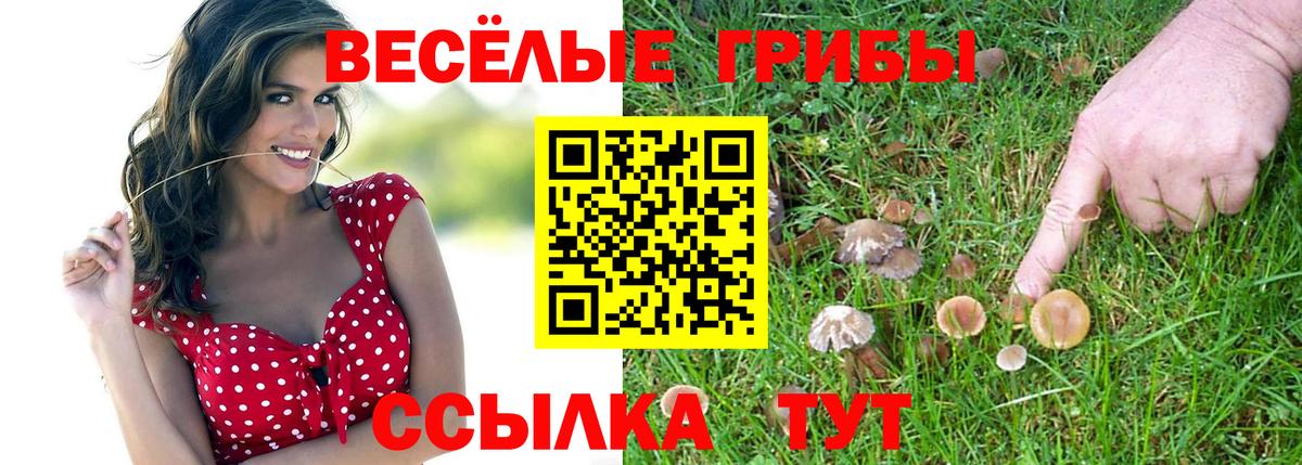 Псилоцибиновые грибы GOLDEN TEACHER  что такое   Вход с VPN  Ливны  Псилоцибиновые грибы MAGIC MUSHROOMS 